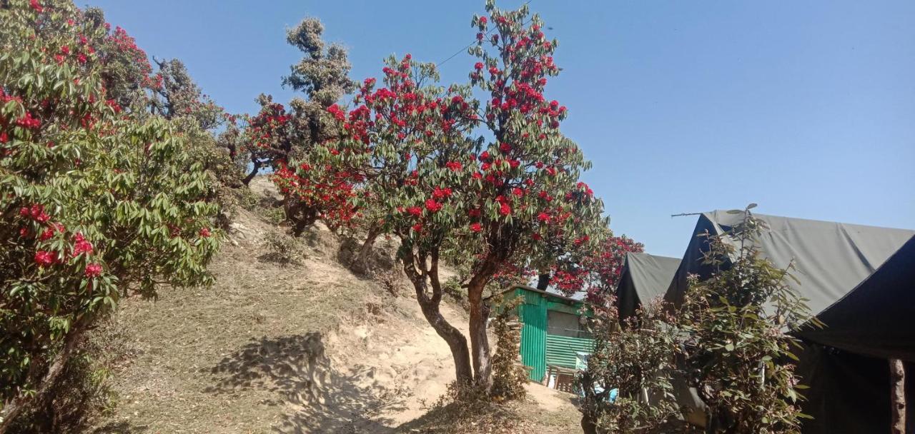 Chandarshila Hike Homestay Ukhimath Exterior foto